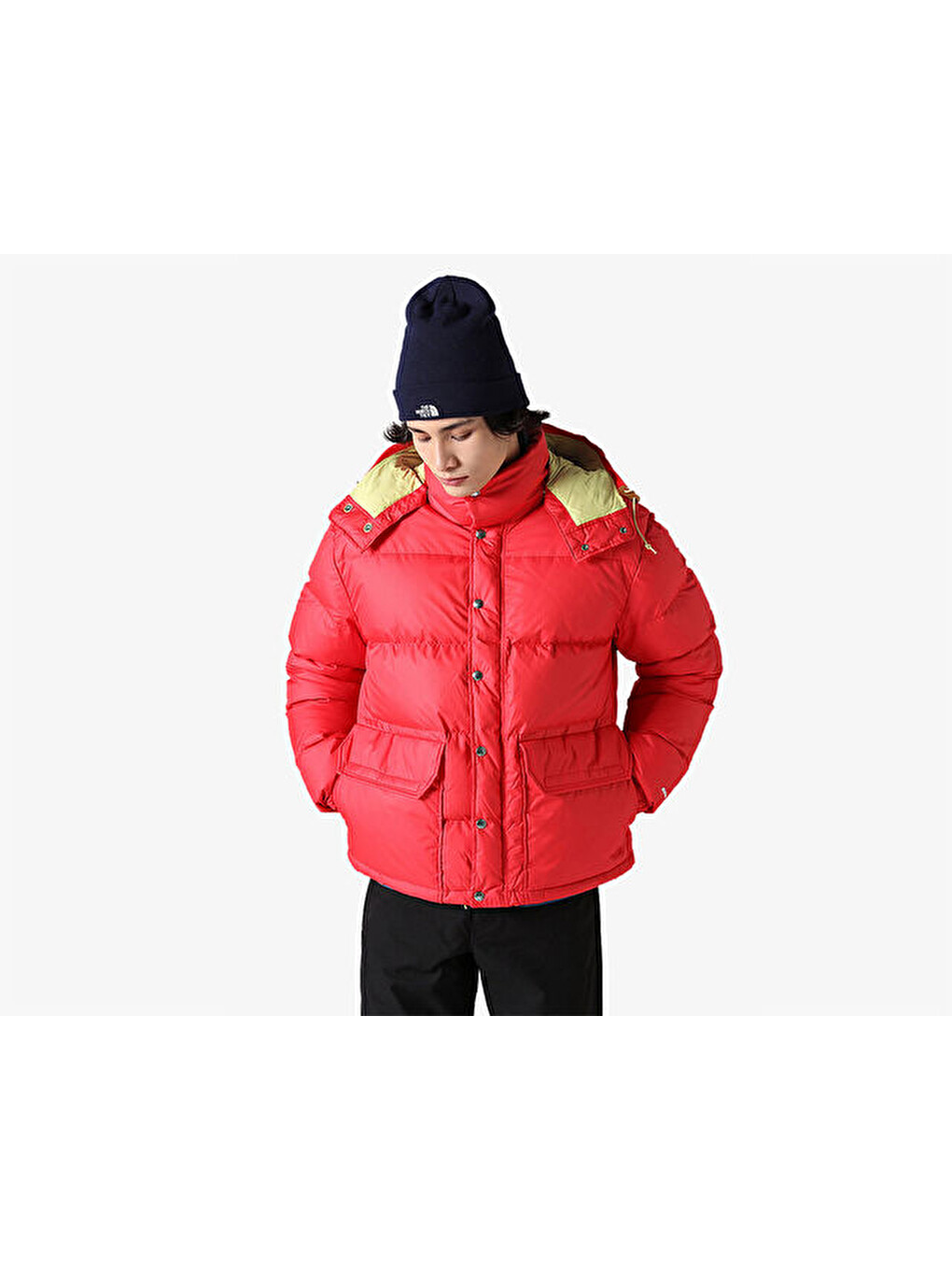 M 71 Sierra Down Short Jacket Erkek Outdoor Montu Nf0a7us36821 Kırmızı-2