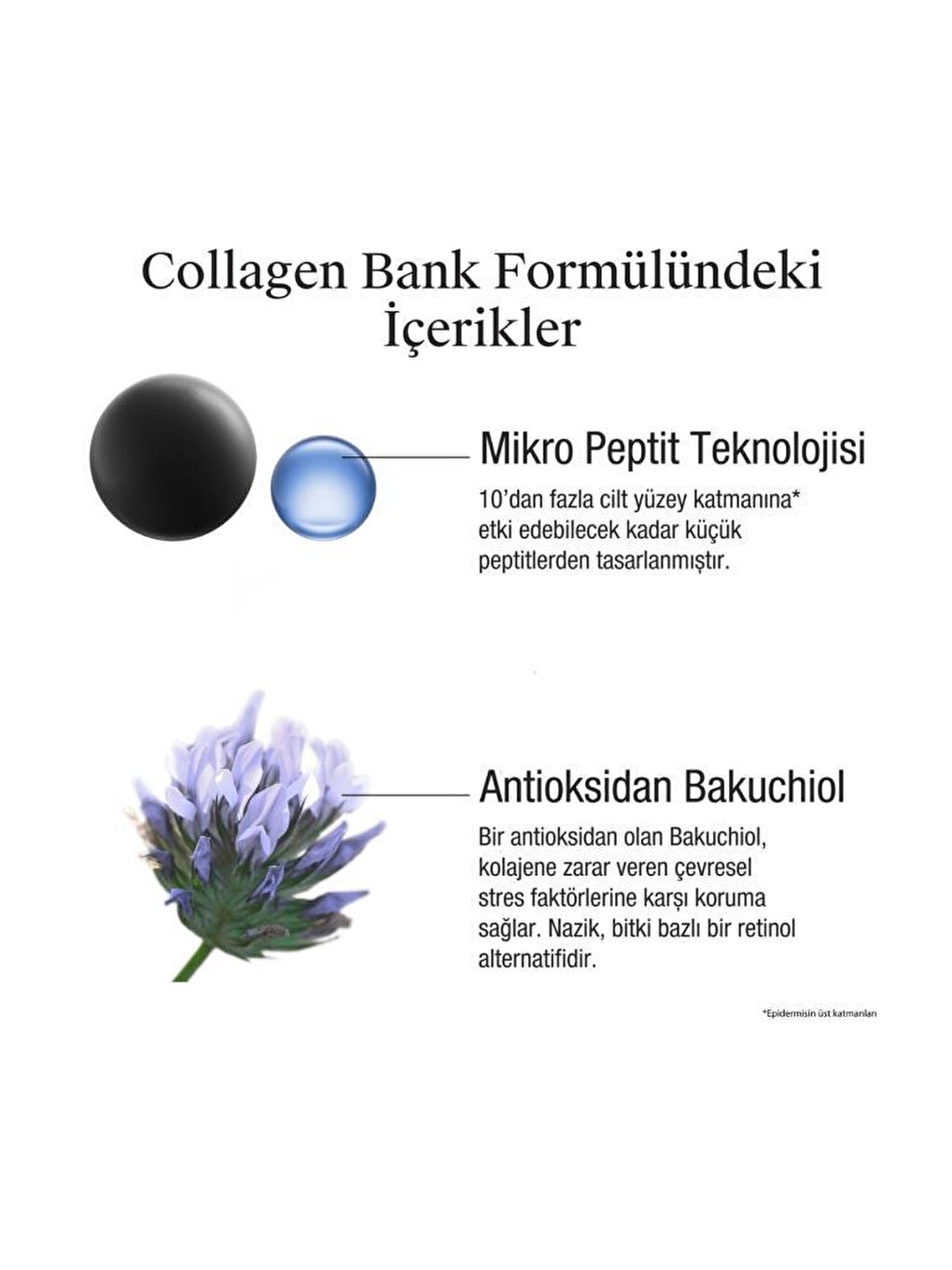 Collagen Bank Kolajen İçerikli Gece Kremi 50 ml & Hydro Boost Jel Temizleyici 15 ML-4