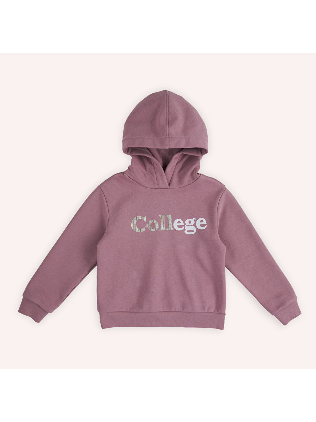 Panço Pembe Kız Çocuk Baskı Detaylı Kapüşonlu Sweatshirt - 3