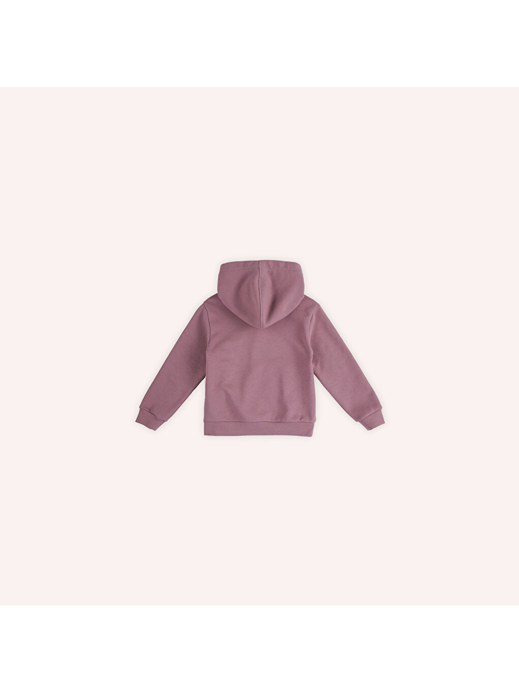 Panço Pembe Kız Çocuk Baskı Detaylı Kapüşonlu Sweatshirt - 5