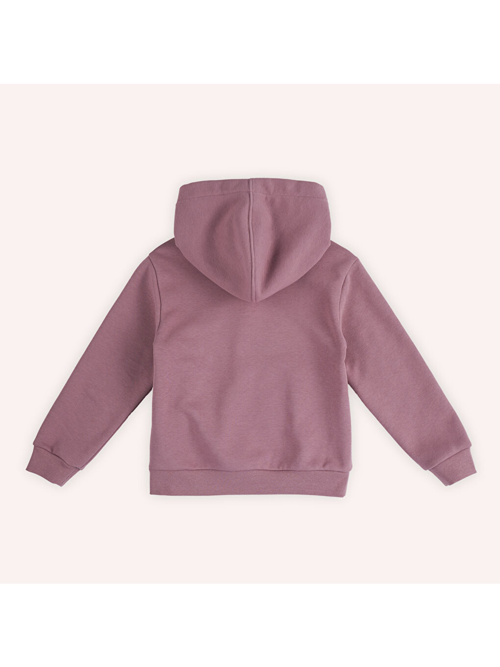 Panço Pembe Kız Çocuk Baskı Detaylı Kapüşonlu Sweatshirt - 6