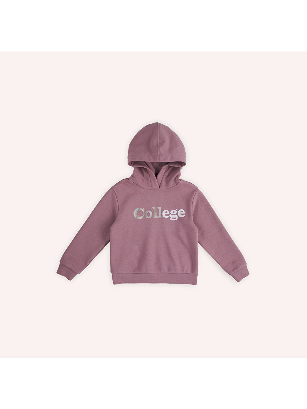 Panço Pembe Kız Çocuk Baskı Detaylı Kapüşonlu Sweatshirt - 9