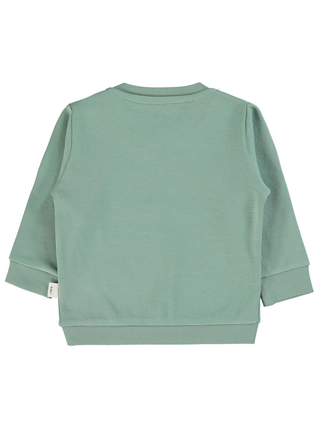 Baby Kız Bebek Sweatshirt 6-18 Ay Çağla Yeşili-1