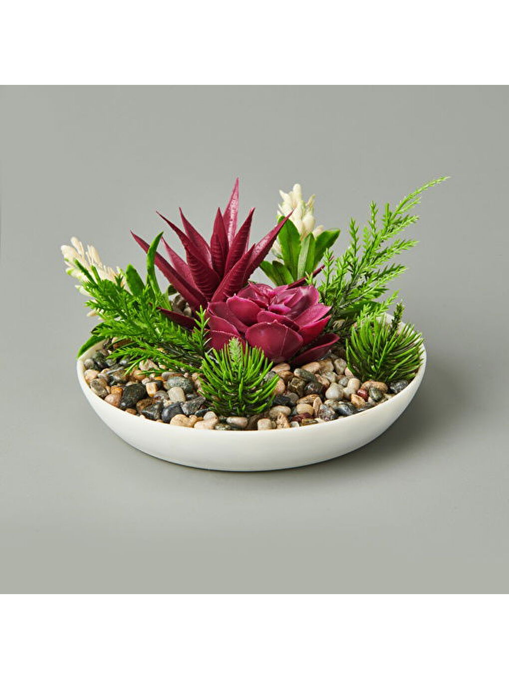 Karışık Aranjman Sukulent - Asorti - 15x10 cm