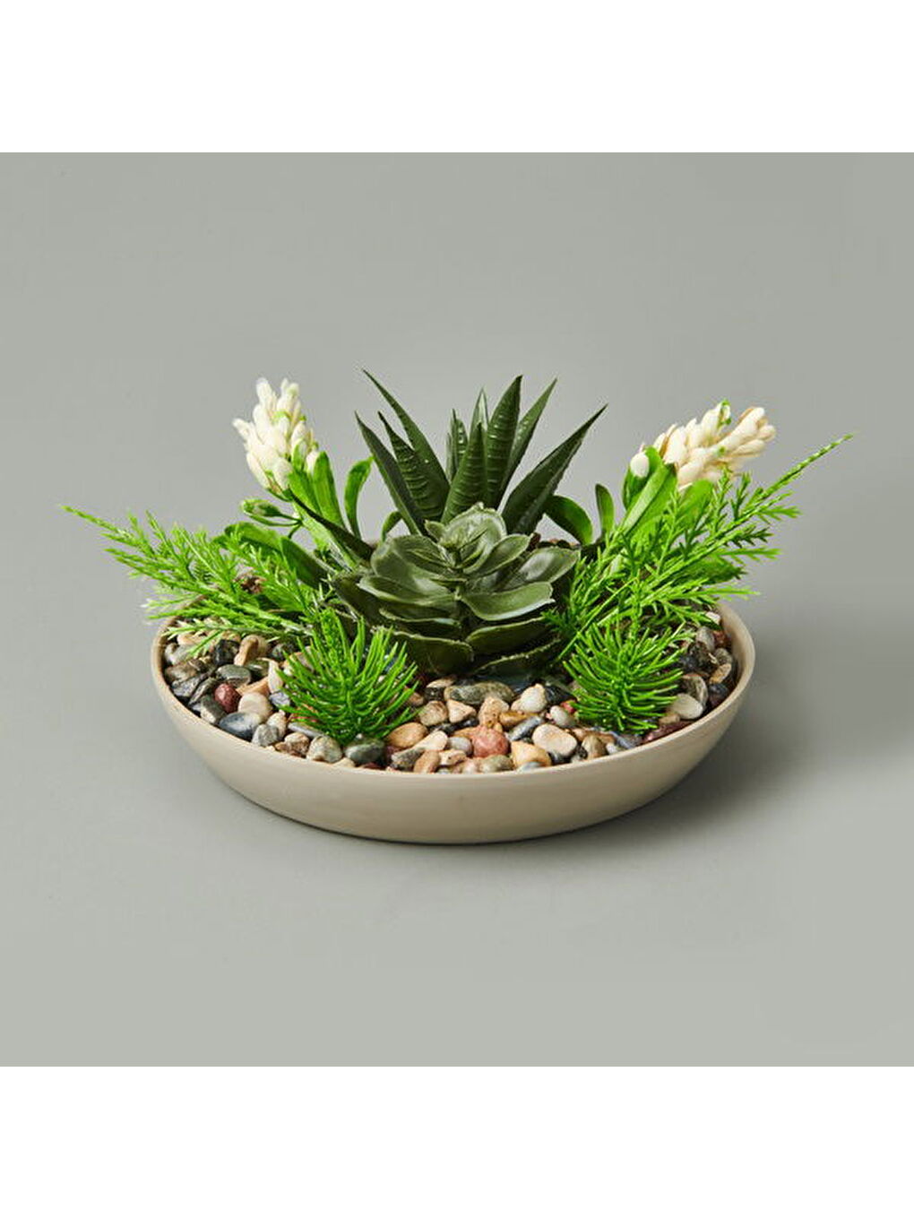 Karışık Aranjman Sukulent - Asorti - 15x10 cm-1