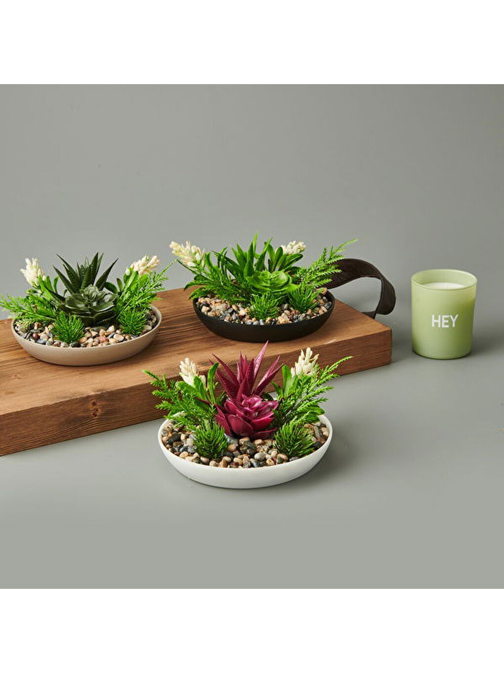 Karışık Aranjman Sukulent - Asorti - 15x10 cm-2