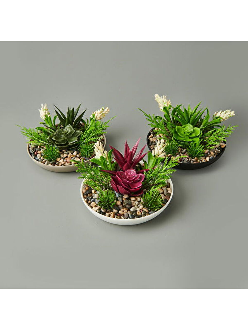 Karışık Aranjman Sukulent - Asorti - 15x10 cm-3