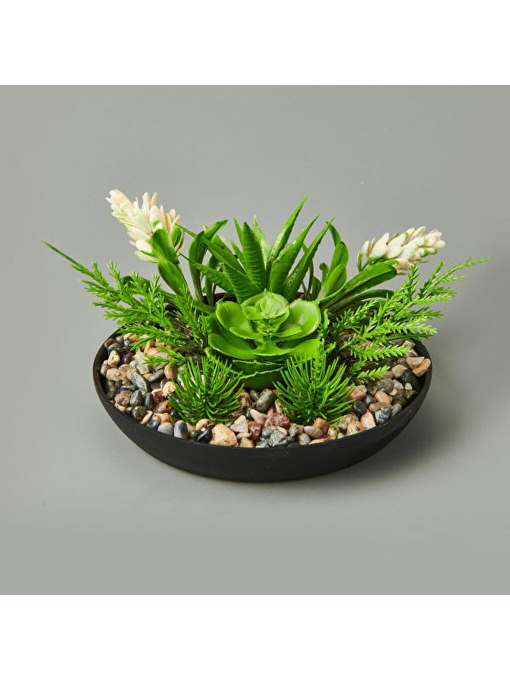 Karışık Aranjman Sukulent - Asorti - 15x10 cm-4