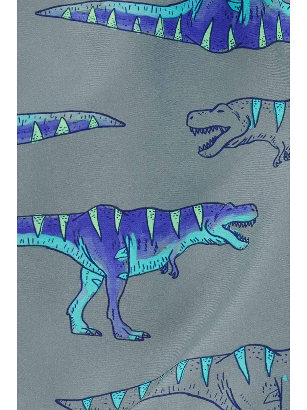 Gri Erkek Çocuk Şort Mayo-2