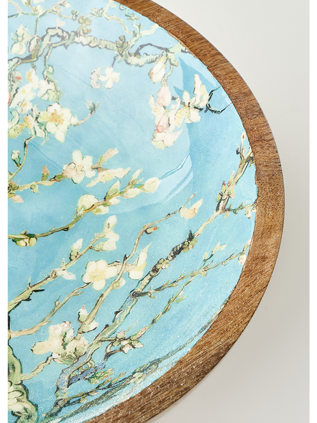 Van Gogh Almond Blossom Mango Sunum Kasesi Turkuaz (30x8 Cm)-2