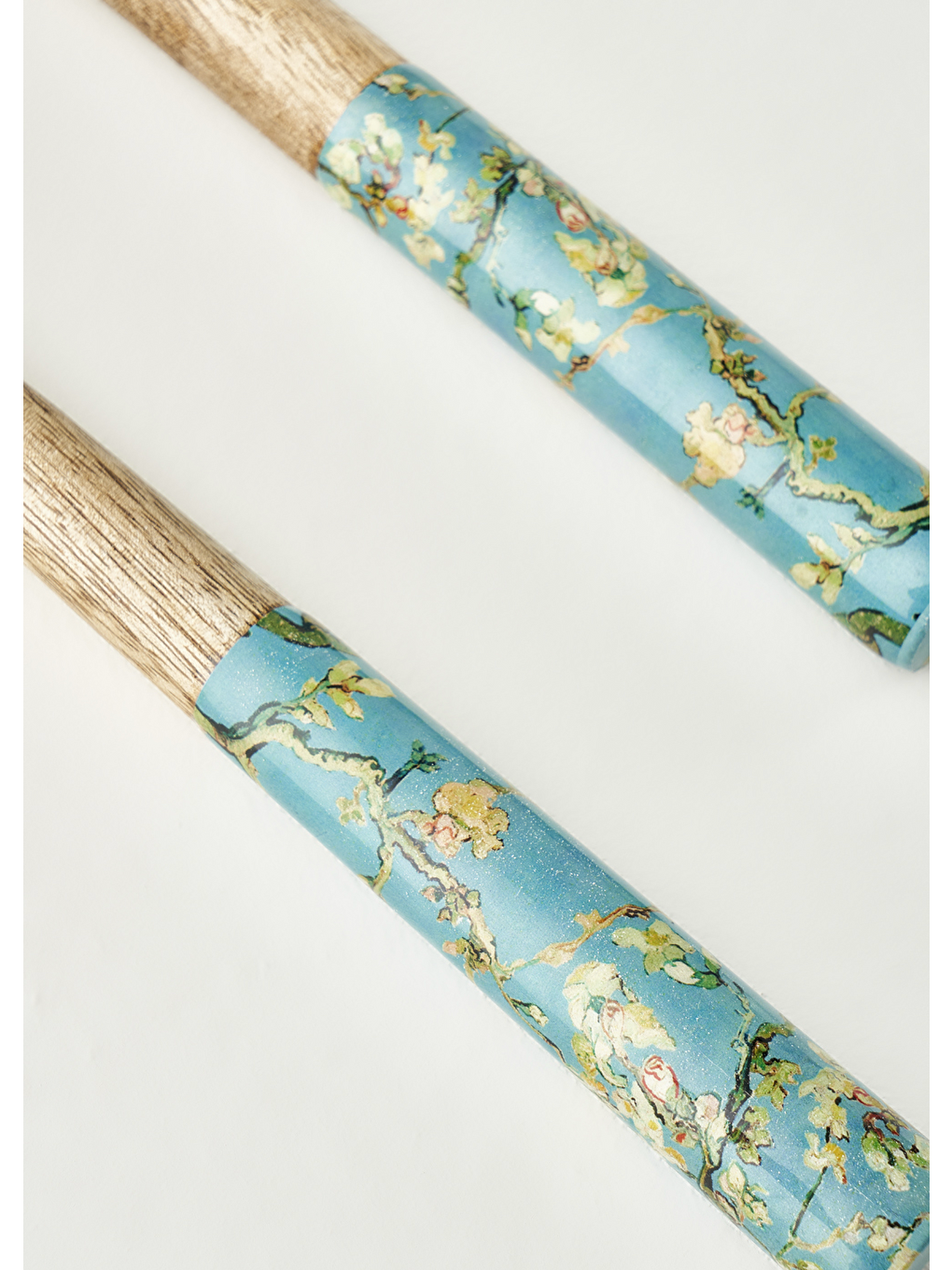 Van Gogh Almond Blossom Mango 2'li Salata Servis Seti Turkuaz (28x8 Cm)-2
