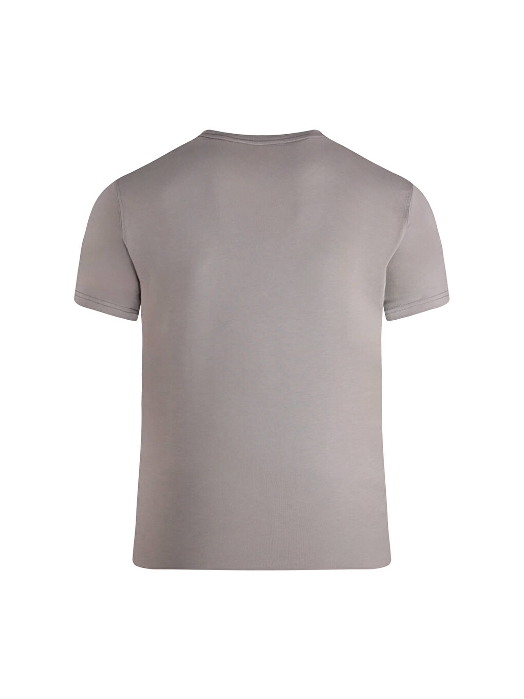 Gri Regular Fit Bisiklet Yaka Tişört-2