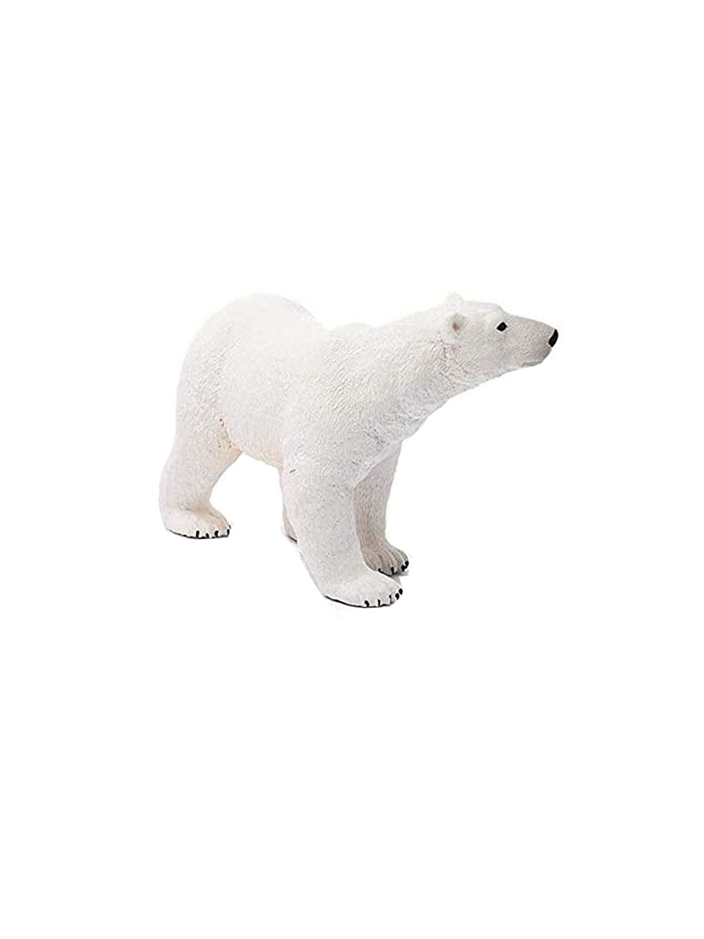 Kutup Ayısı 14800-1