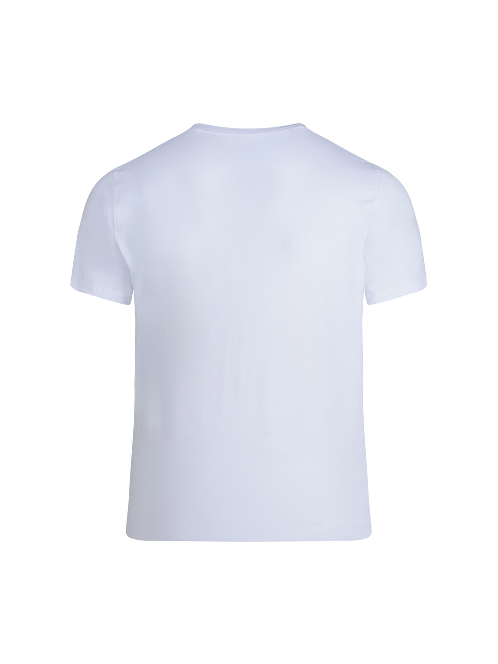 Beyaz Regular Fit Bisiklet Yaka Pamuklu Tişört-1