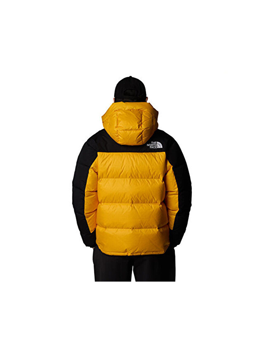 M Hmlyn Down Parka Erkek Outdoor Montu (550 Dolgu Kaz Tüyü) Nf0a4qyxzu31 Sarı-1