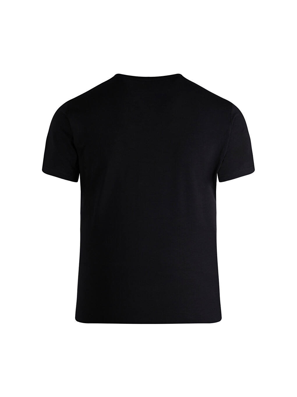 Siyah Regular Fit Bisiklet Yaka Pamuklu Tişört-1