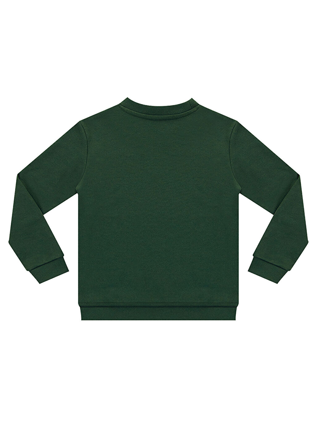 Denokids Haki Roarr Dino Erkek Çocuk Haki Sweatshirt - 3