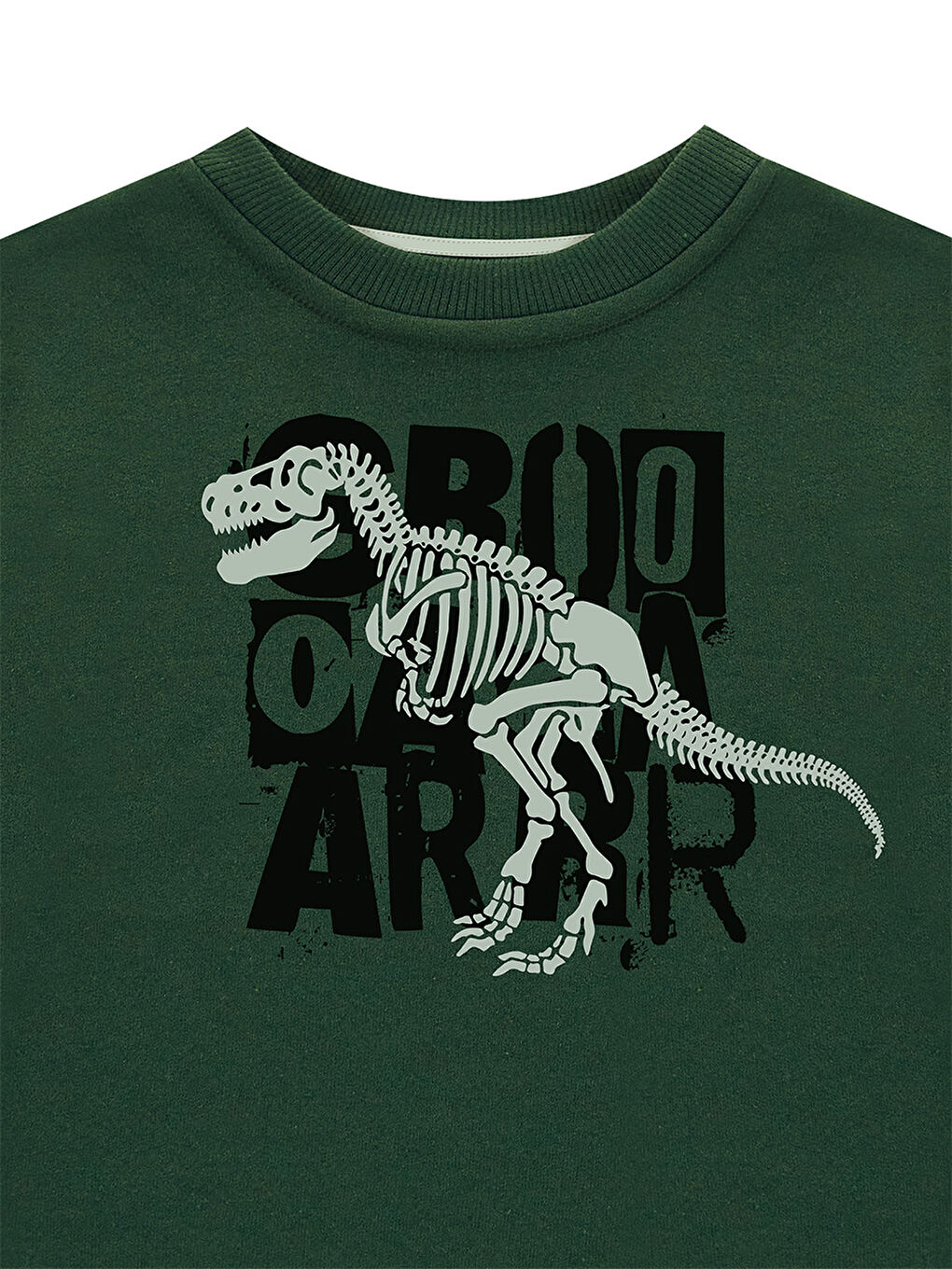 Denokids Haki Roarr Dino Erkek Çocuk Haki Sweatshirt - 4