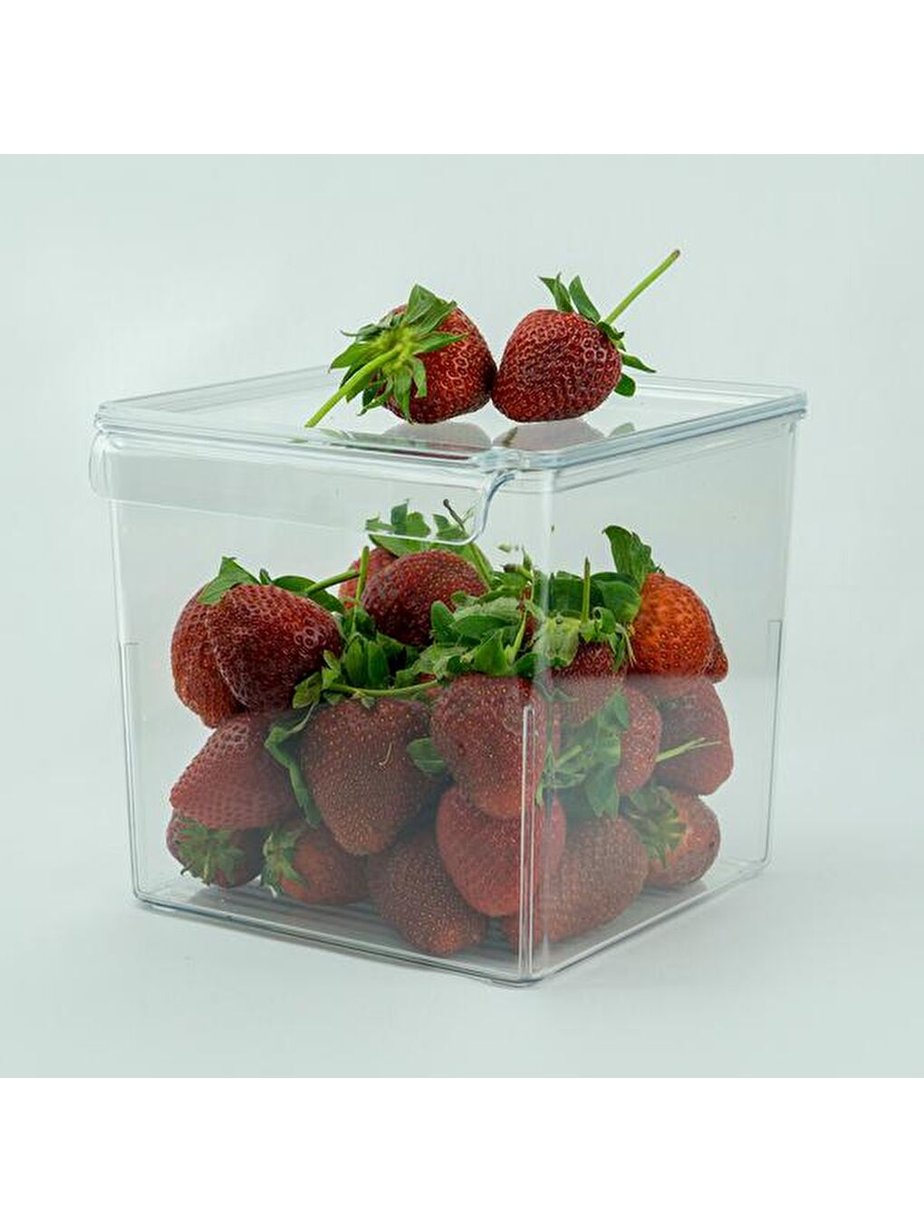 Karışık Kapaklı Buzdolabı İçi Düzenleyici - Şeffaf-1