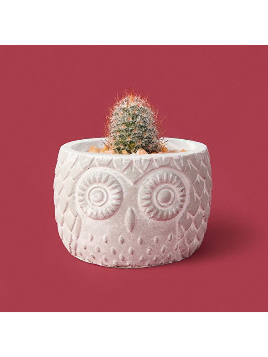 Ekru Kozalak Desenli Beton Saksı - Krem - 8x10 cm-1