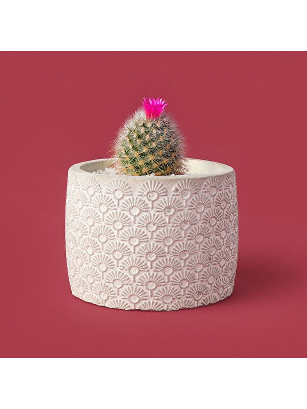 Işık Desen Beton Saksı - Bej - 10x13 cm-1