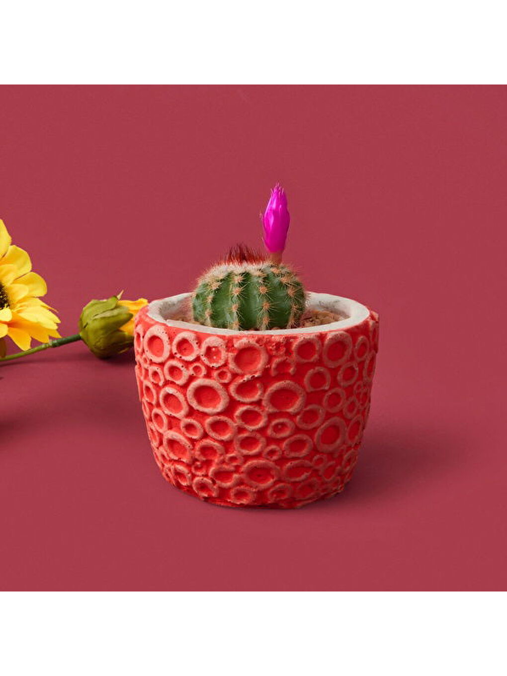 Halka Desenli Beton Saksı - Turuncu - 7x9 cm-1