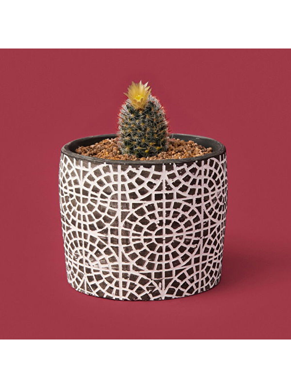 Mozaik Desen Beton Saksı - Siyah - 10x13 cm-3