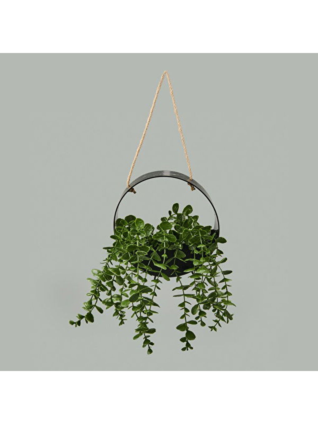 Karışık Yapay Okaliptus - Asorti - 50x20 cm-2