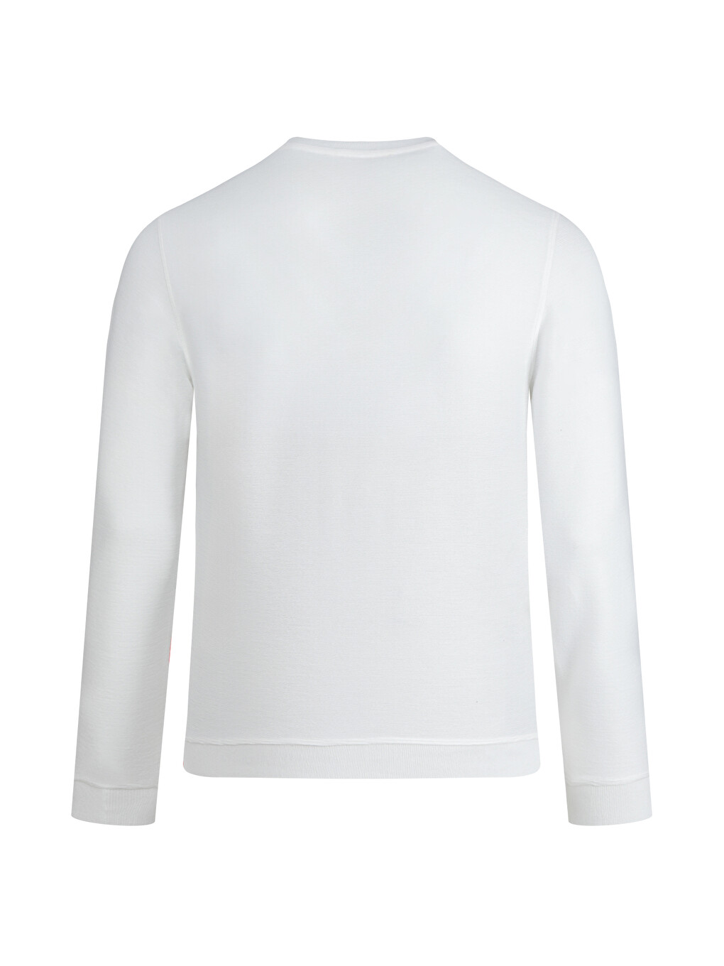 Beyaz Regular Fit Bisiklet Yaka Sweatshirt-1
