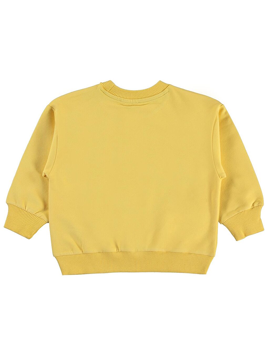 Sarı Boys Armalı 2-5 Yaş Sweatshirt - Hardal 2-3 Yaş-1