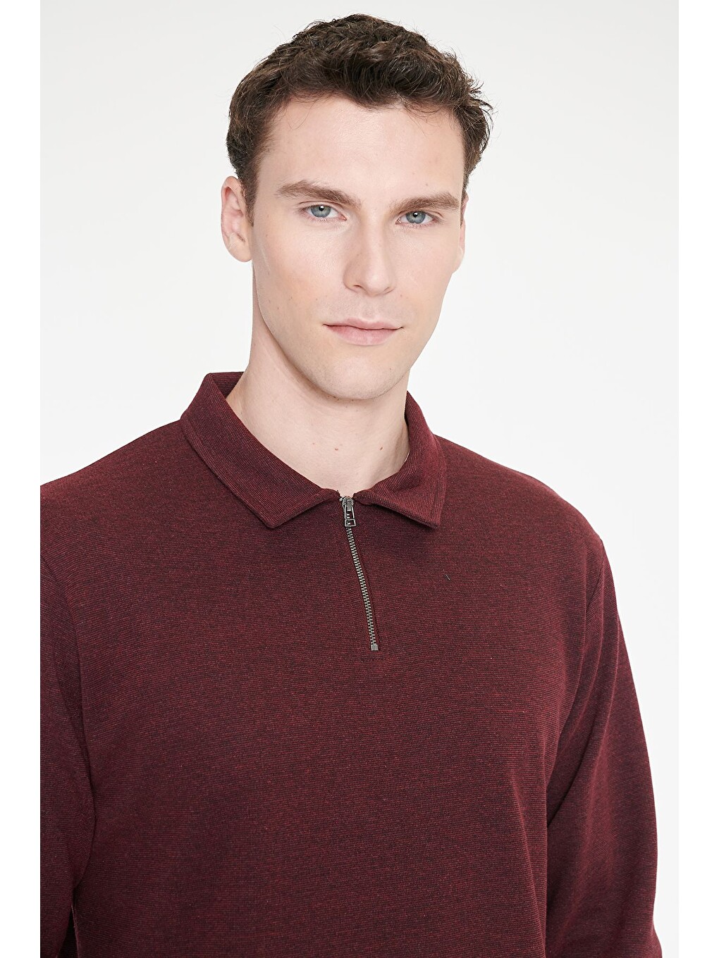 Erkek Bordo Pamuklu Standart Fit Normal Kesim Polo Yaka Sweatshirt-3