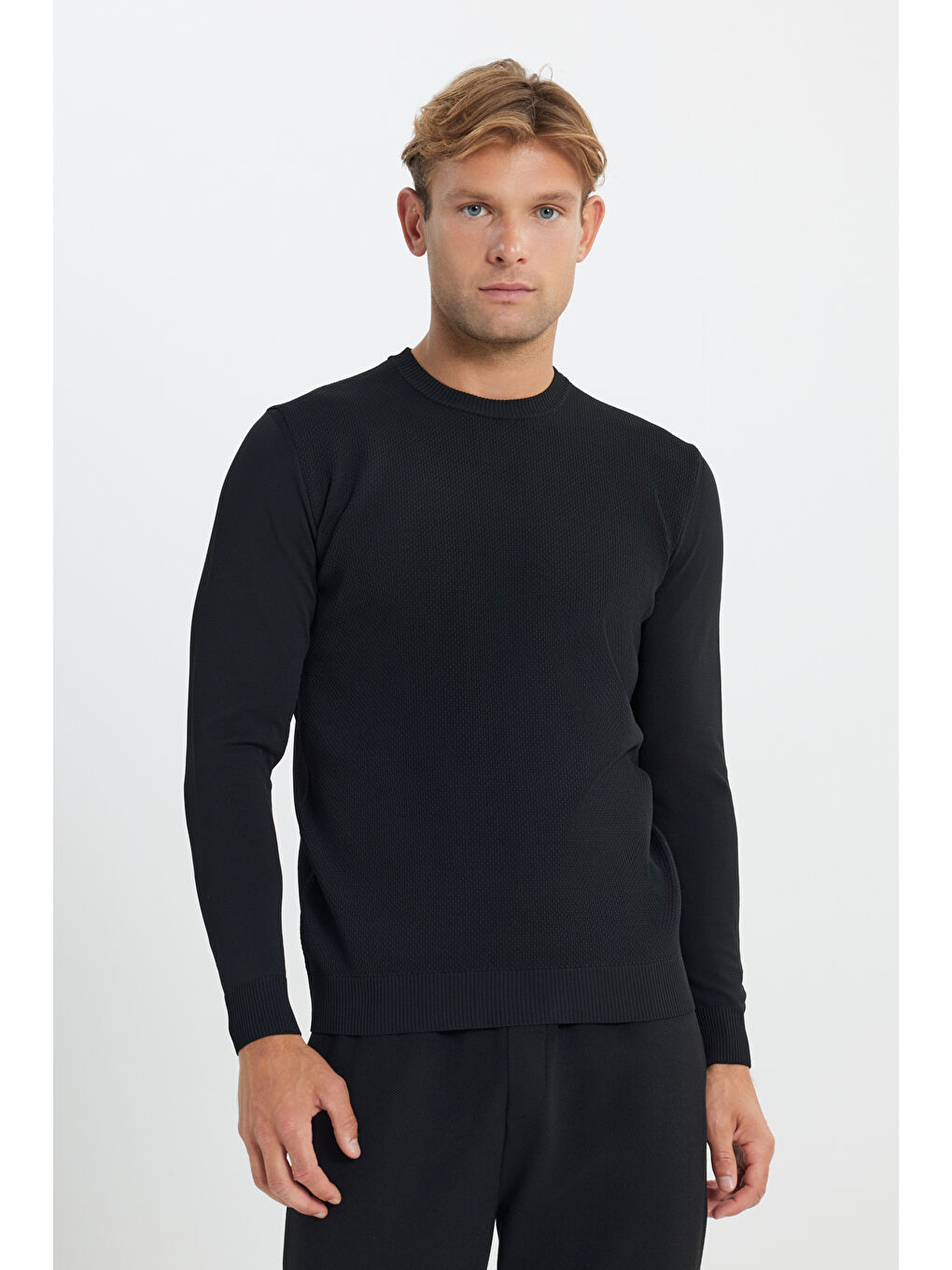 Erkek Siyah Standart Fit Normal Kesim Bisiklet Yaka Jakarlı Triko Kazak-3