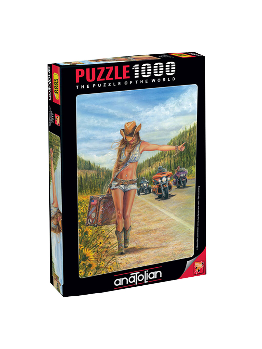 Anatolian Renksiz Puzzle 1000 Parça Otostopçu 1124