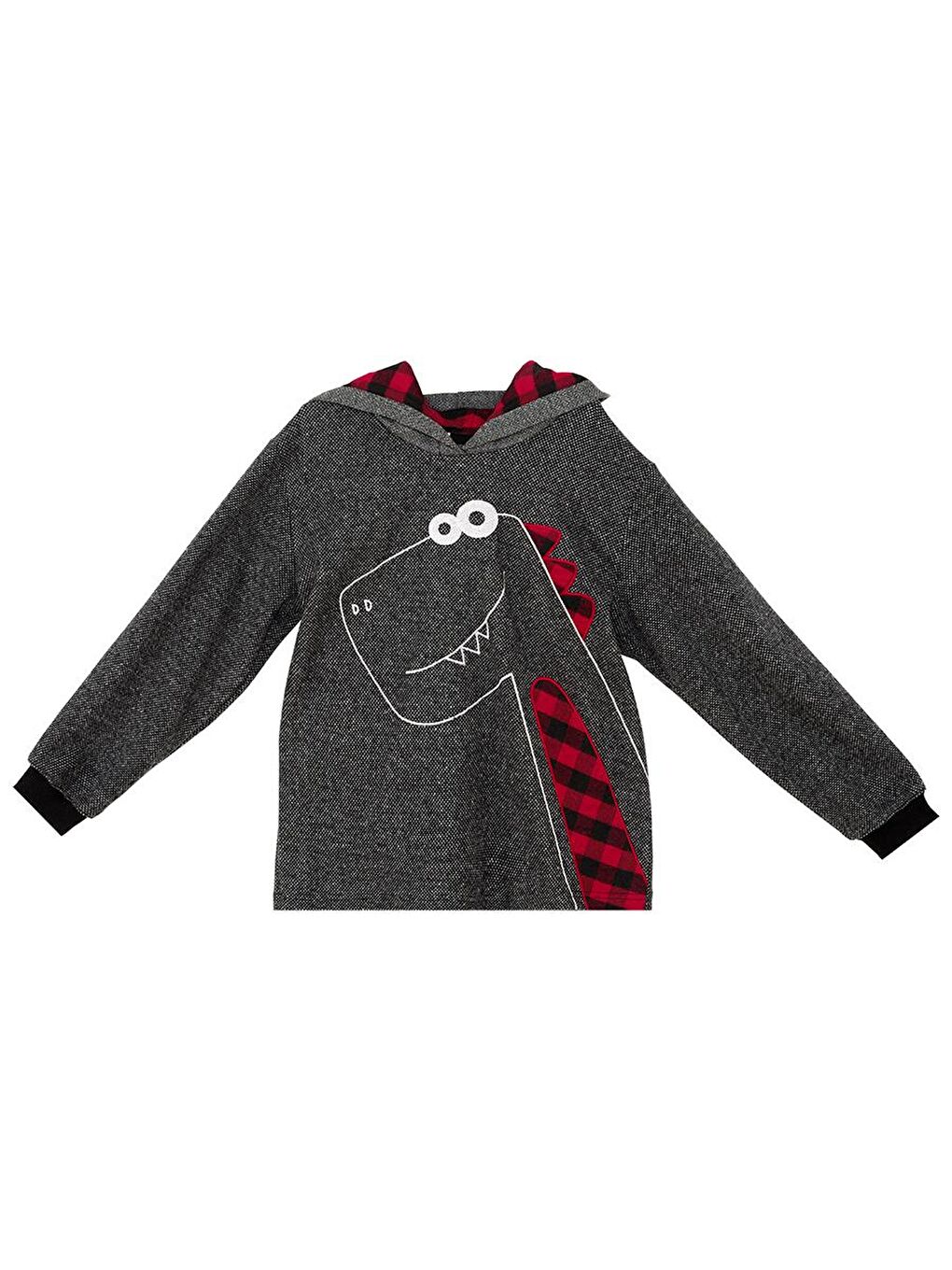 Denokids Antrasit Dino Erkek Çocuk Kapüşonlu Sweatshirt - 2