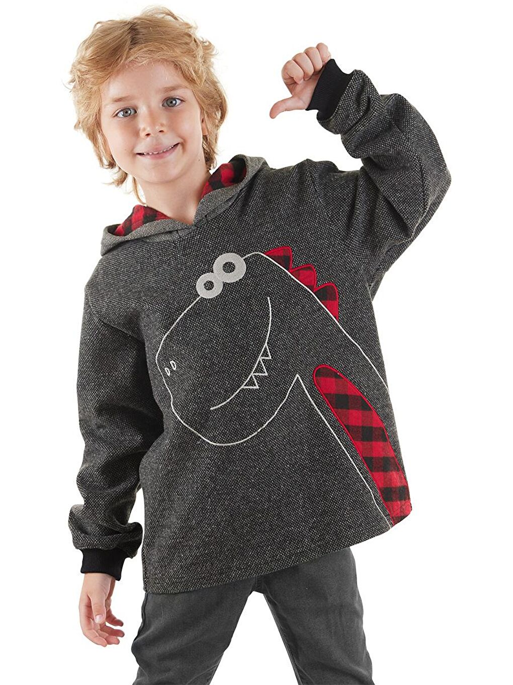 Denokids Antrasit Dino Erkek Çocuk Kapüşonlu Sweatshirt - 4