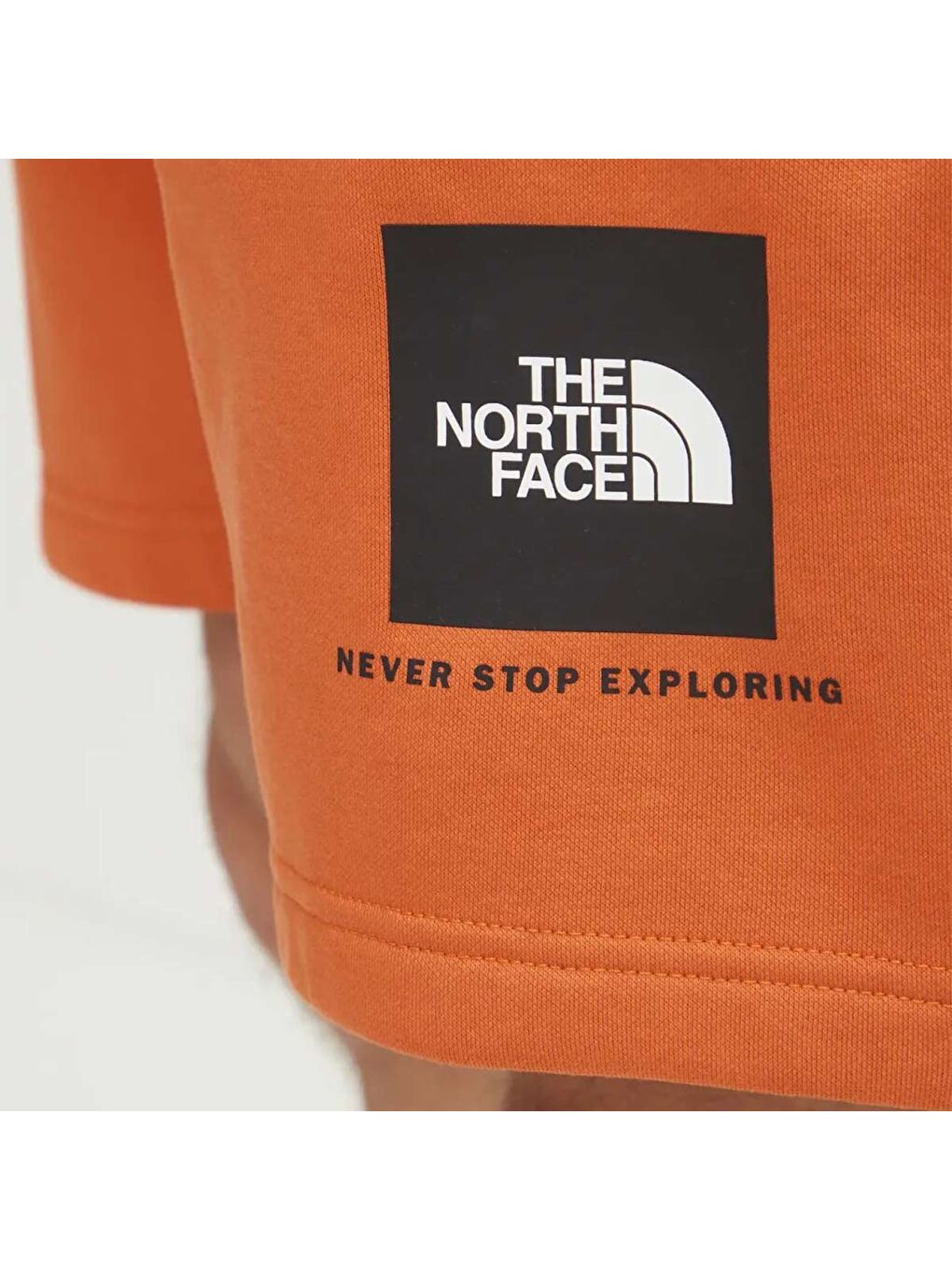 Box Never Stop Exploring Regular Erkek Turuncu Şort-3