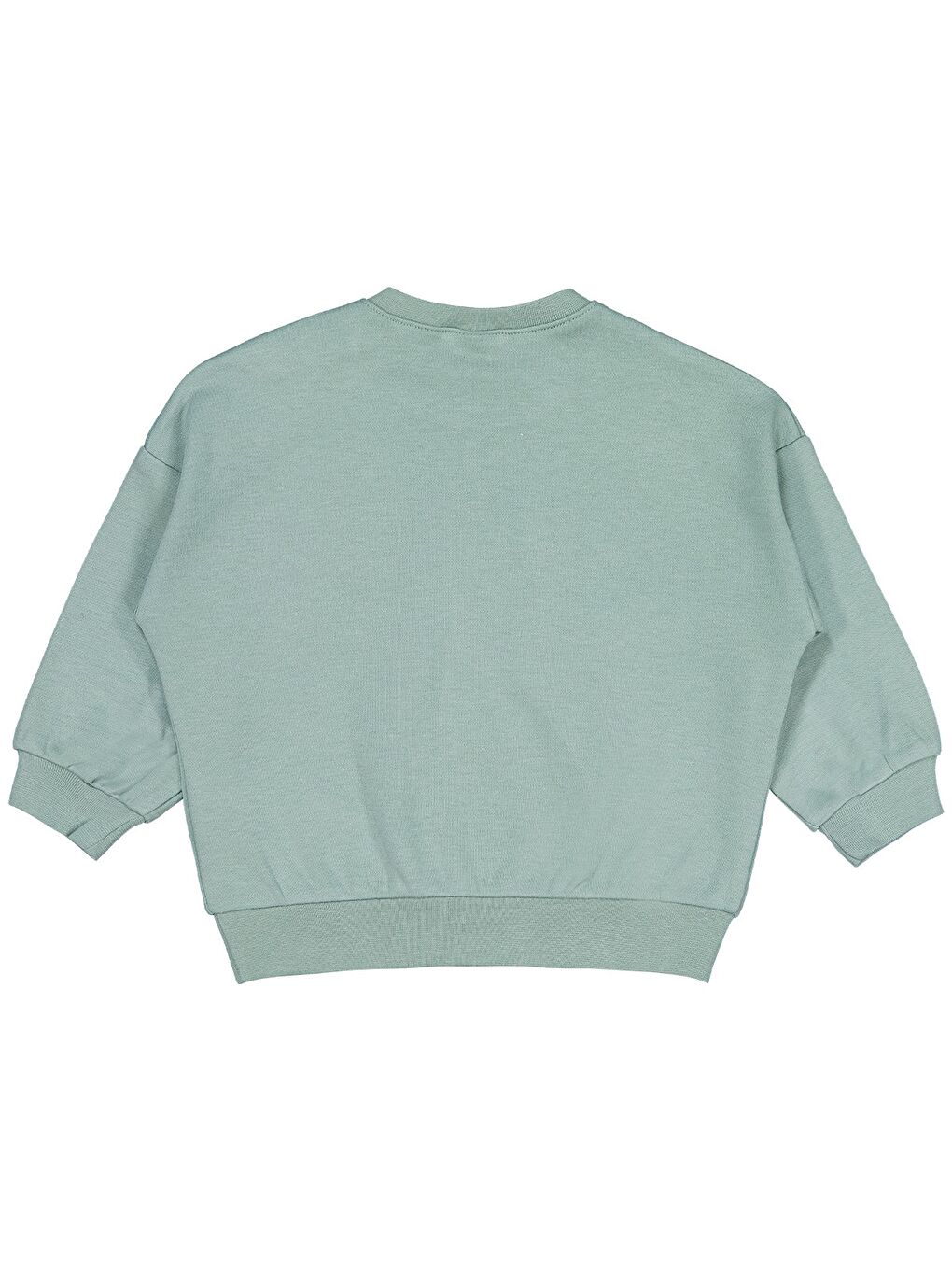 Baby Dinozor Baskılı 6-18 Ay Sweatshirt - Yeşil-1