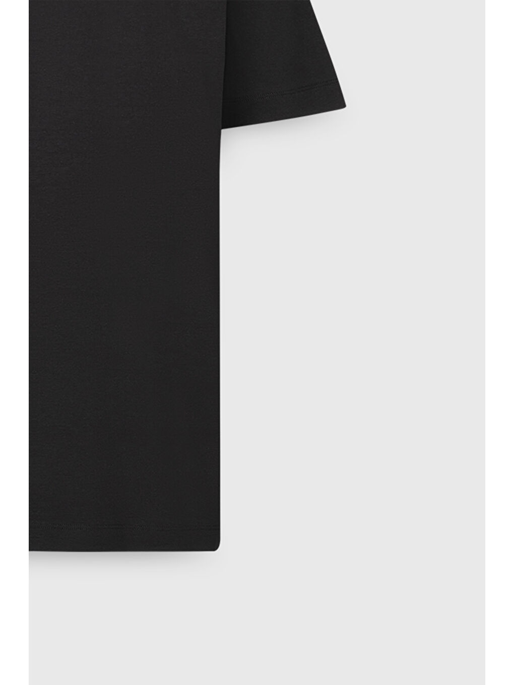 Erkek Siyah %100 Pamuk Modern Fit Normal Kesim Bisiklet Yaka Tişört-7