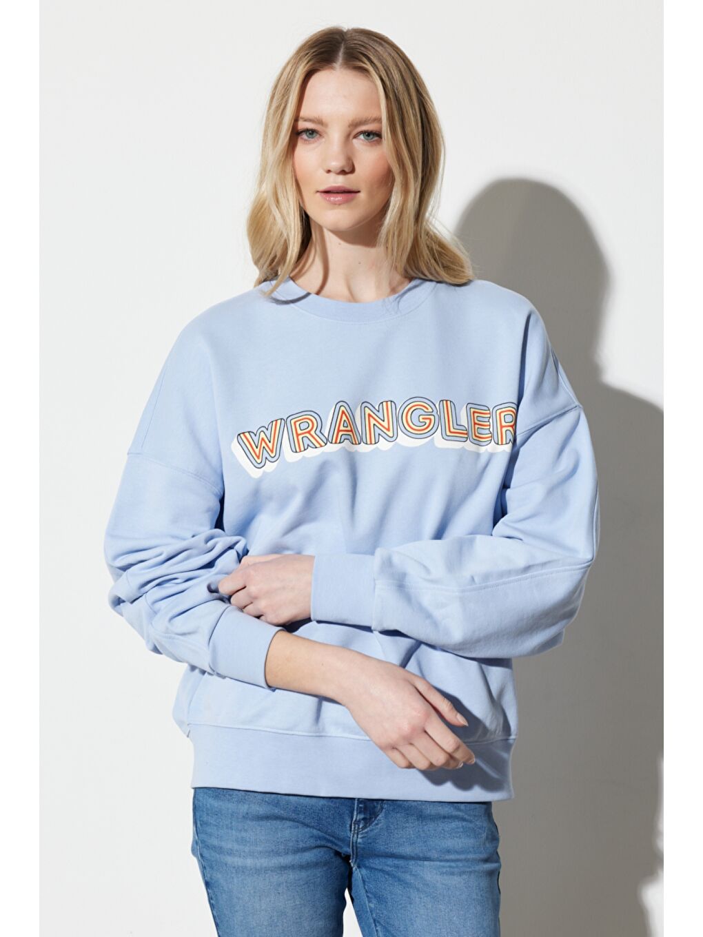 Regular Fit Normal Kesim %100 Pamuk Bisiklet Yaka Mavi Sweatshirt-1