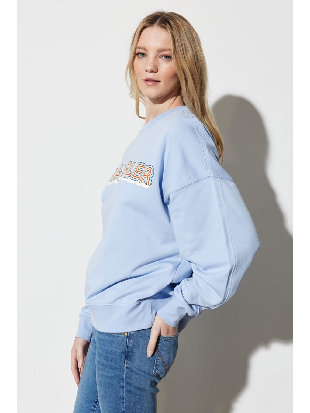 Regular Fit Normal Kesim %100 Pamuk Bisiklet Yaka Mavi Sweatshirt-3