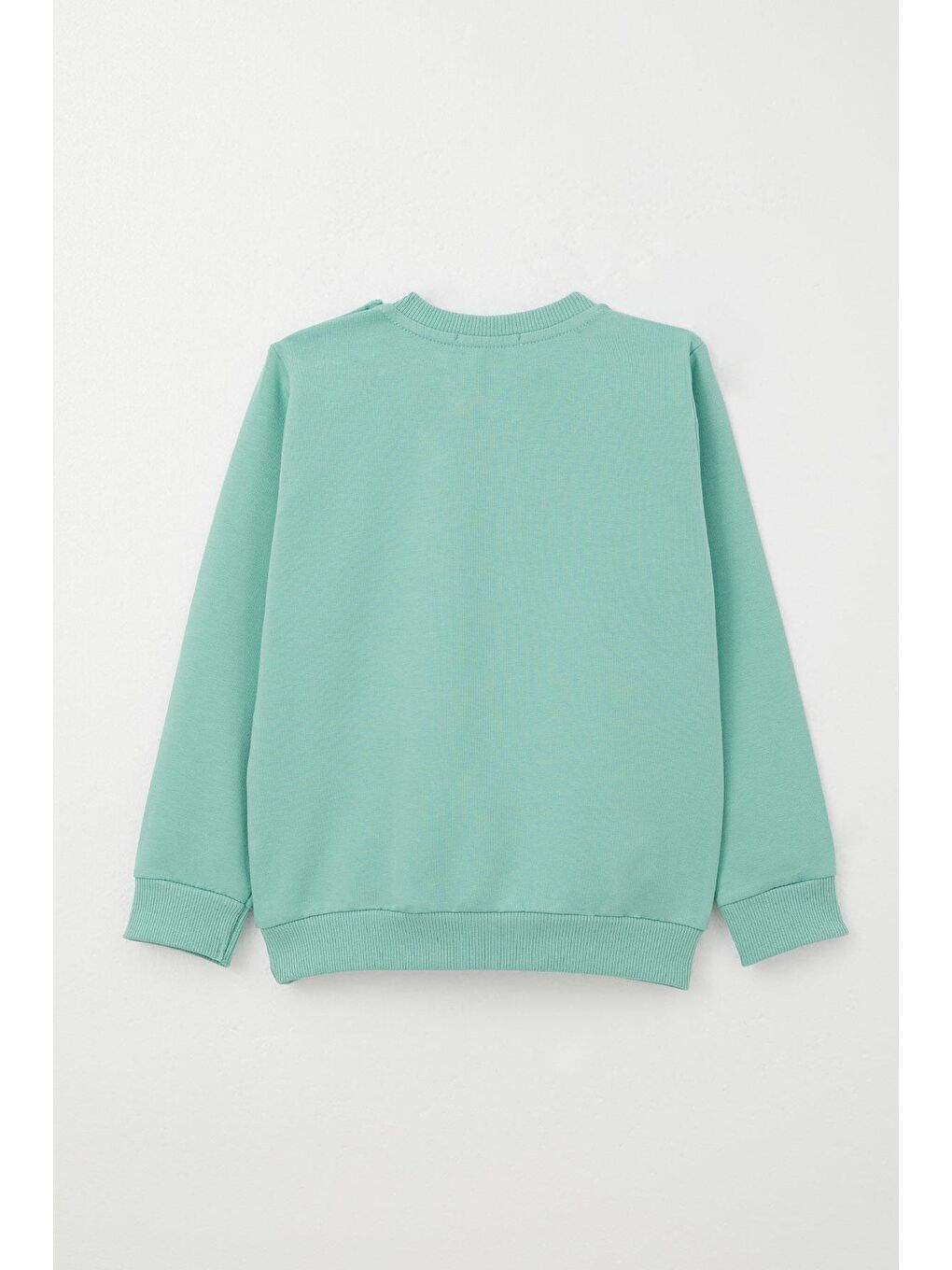 Turkuaz Erkek Bebek Eşofman Takım Kaykaycı Sevimli Ayıcık Baskılı Su Yeşili (1 Yaş)-3