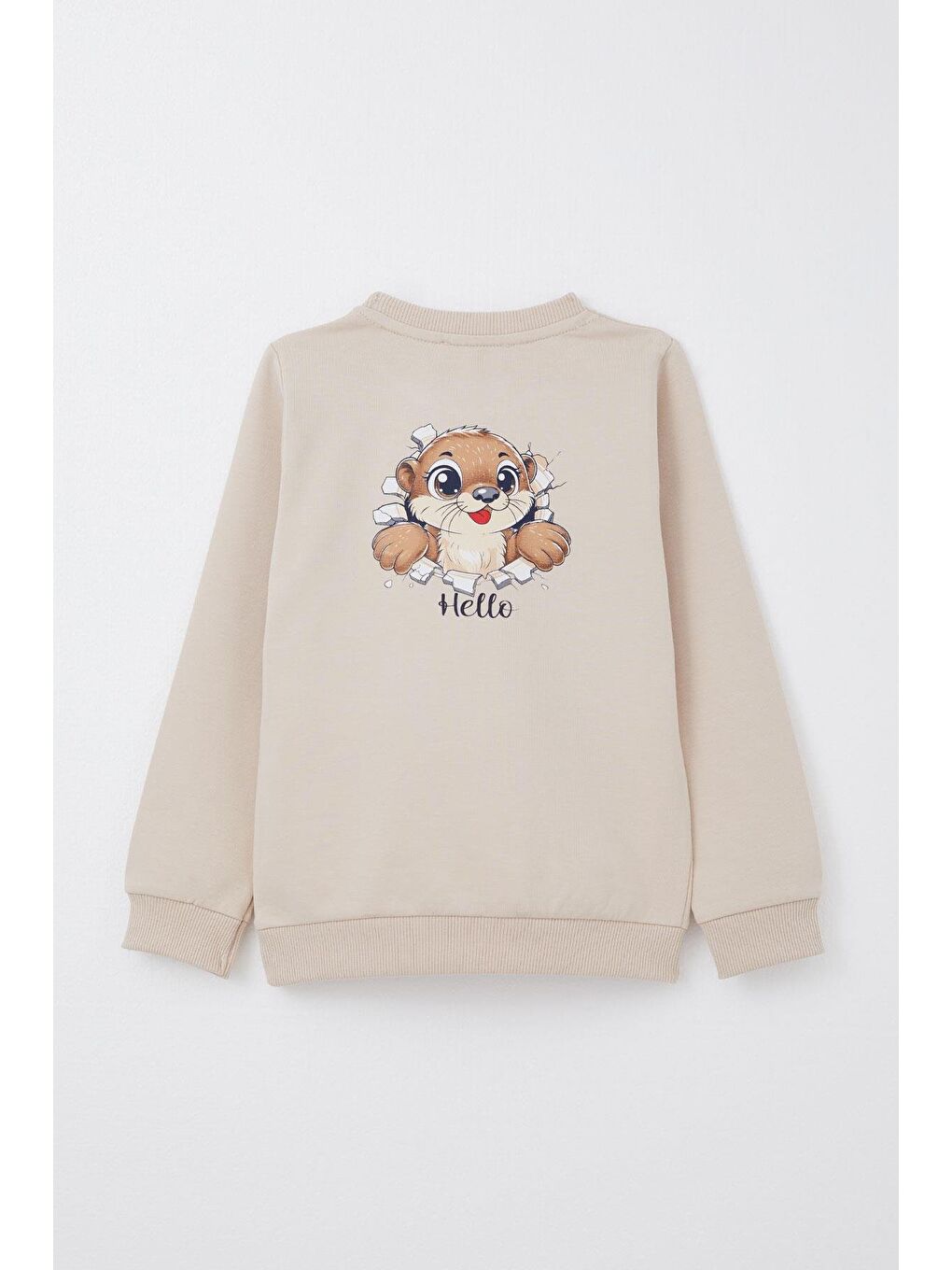 Erkek Bebek Eşofman Takım Sırt Kısmı Sevimli Sincap Baskılı Bej (9 Ay-1 Yaş)-3