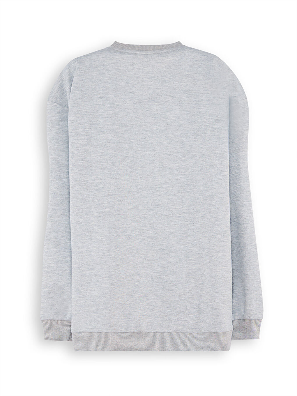 Roar Erkek Çocuk Gri Sweatshirt-3