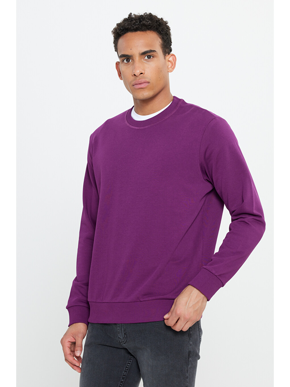 Erkek Koyu Mor Standart Fit Normal Kesim Bisiklet Yaka Pamuklu Sweatshirt-2