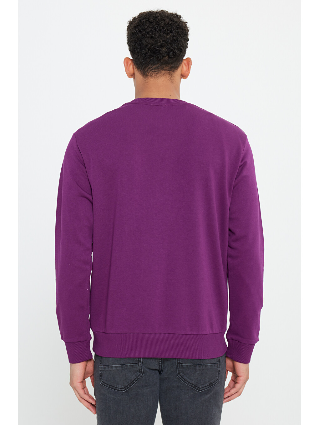 Erkek Koyu Mor Standart Fit Normal Kesim Bisiklet Yaka Pamuklu Sweatshirt-4