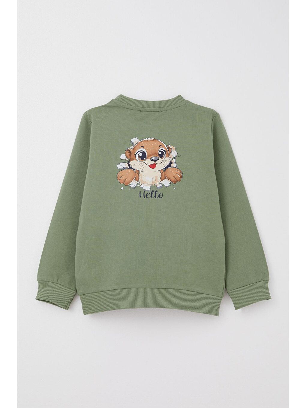 Erkek Bebek Eşofman Takım Sırt Kısmı Sevimli Sincap Baskılı Haki Yeşil (9 Ay-2 Yaş)-3