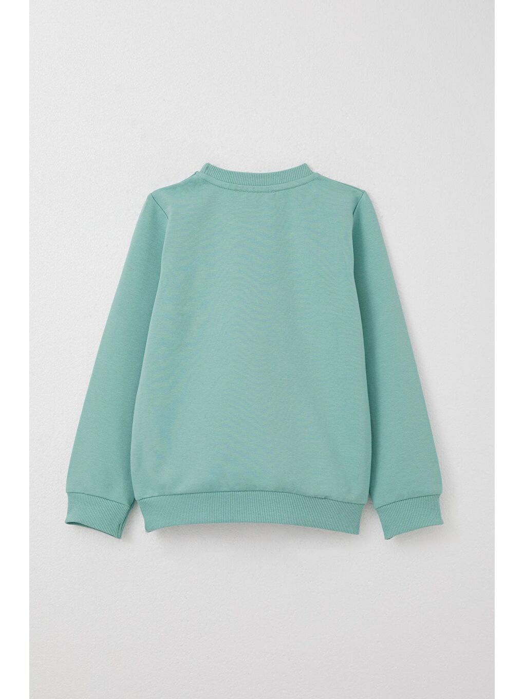 Turkuaz Erkek Bebek Eşofman Takım Şanslı Ayıcık Baskılı Yazı Nakışlı Su Yeşili (1 Yaş)-3