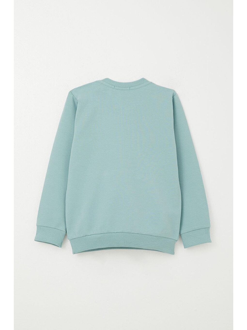 Turkuaz Erkek Bebek Eşofman Takım Kanguru Cepli Dost Ayıcıklar Baskılı Su Yeşili (9 Ay-1 Yaş)-3