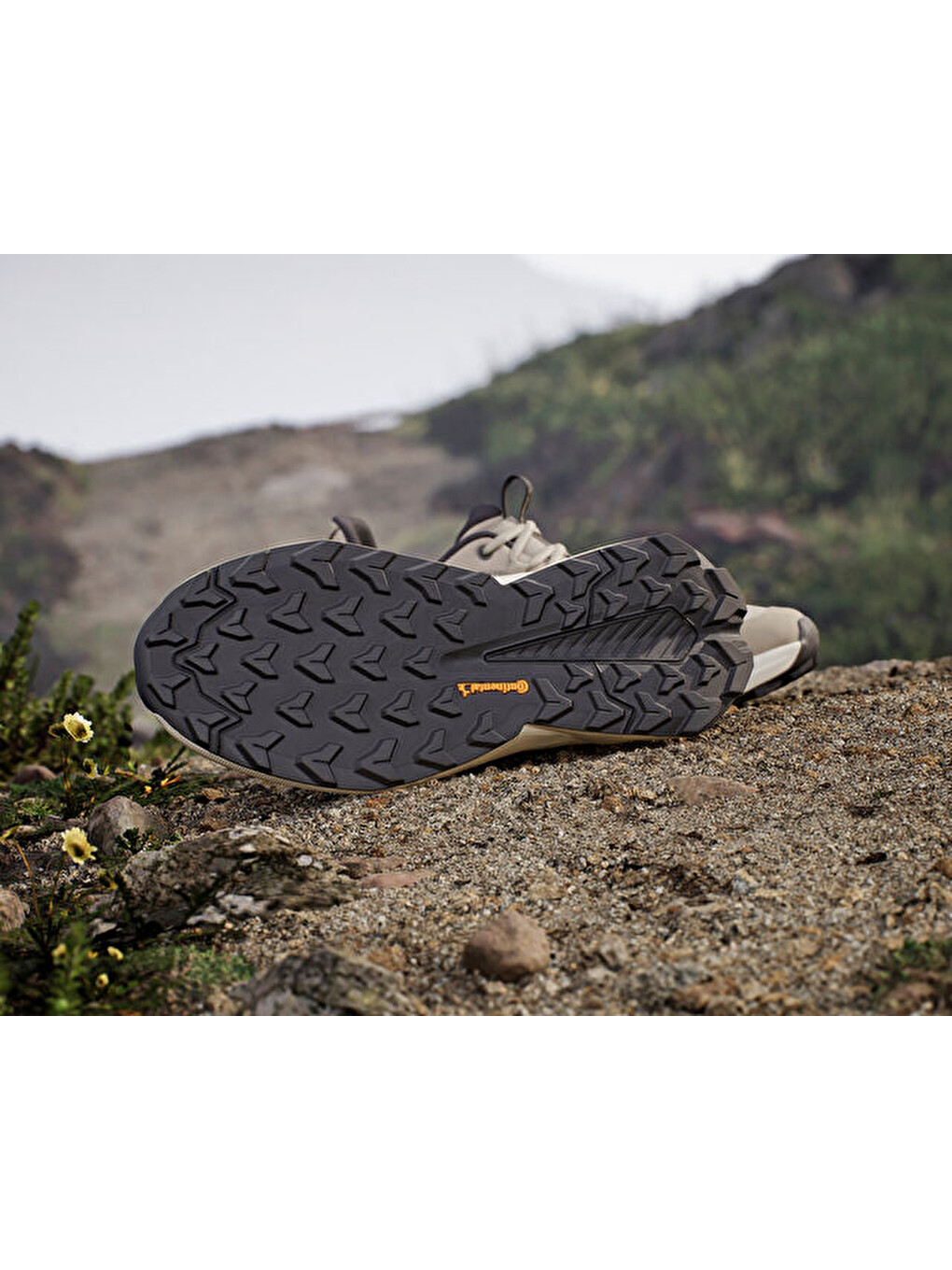 Ekru Terrex Trailmaker 2 Lea Erkek Outdoor Ayakkabısı If6543 Krem-1