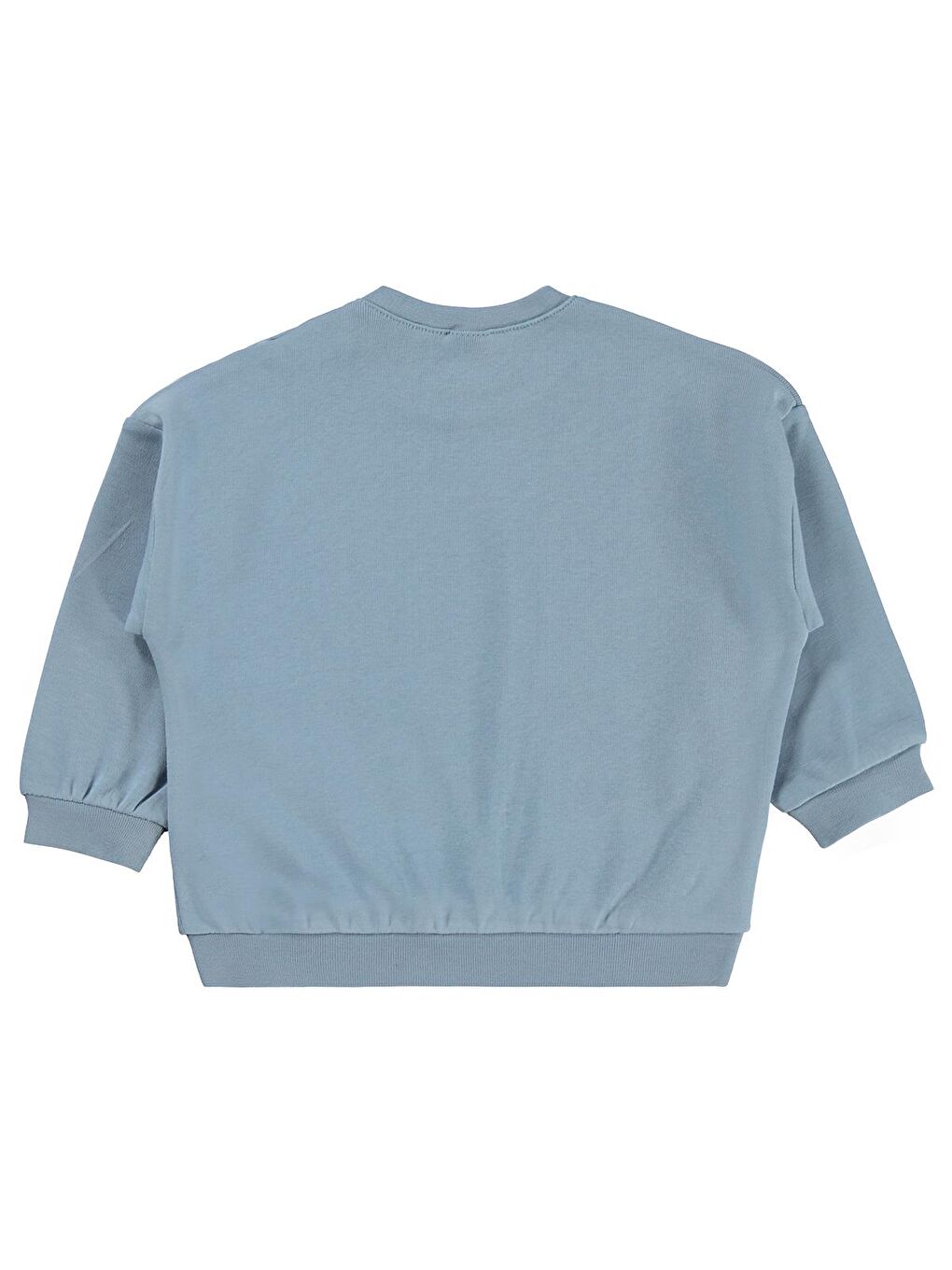 Baby Little Explorer Baskılı 6-18 Ay Sweatshirt - Mavi 12-18 Ay-1
